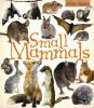 Small_mammals