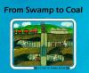 FROM_SWAMP_TO_COAL