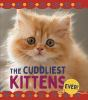 The_cuddliest_kittens_ever