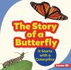 The_story_of_a_butterfly