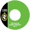 The_Boys_Of_Cameo_Parkway_Vol__2