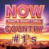 NOW_that_s_what_I_call_country__1_s