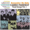 Remember_Me_Baby__Cameo_Parkway_Vocal_Groups_Vol__1