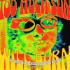 Too_Much_Sun_Will_Burn__The_British_Psychedelic_Sounds_Of_1967__Vol__2