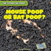 Mouse_Poop_or_Bat_Poop_