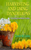 Harvesting_and_Using_Dandelions