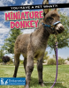 Miniature_Donkey