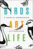 Birds__art__life
