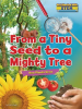 From_a_Tiny_Seed_to_a_Mighty_Tree