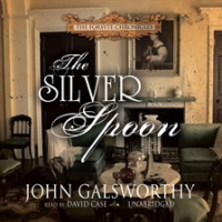 The_Silver_Spoon
