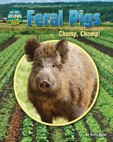 Feral_pigs