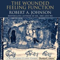 The_Wounded_Feeling_Function_with_Robert_Johnson