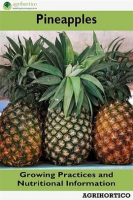 Pineapples__Growing_Practices_and_Nutritional_Information