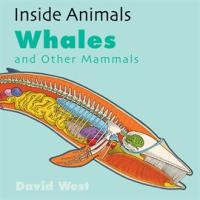 Whales_and_Other_Mammals