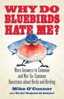 Why_do_bluebirds_hate_me_