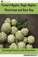 Custard_Apples__Sugar_Apples__Cherimoya_and_Sour_Sop__Growing_Practices_and_Food_Uses