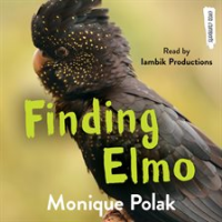 Finding_Elmo