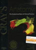 Gray_s_anatomy