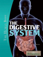 The_Digestive_System