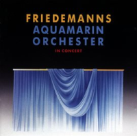 Aquamarin_Orchester_In_Concert