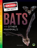 Bats_and_Other_Mammals