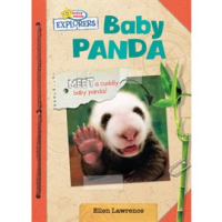 Baby_Panda