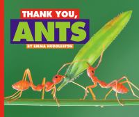 Thank_you__ants