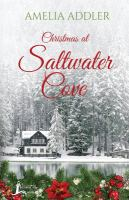 Christmas_at_Saltwater_Cove