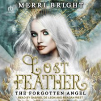 Lost_Feather