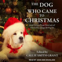 The_Dog_Who_Came_to_Christmas