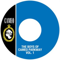 The_Boys_Of_Cameo_Parkway_Vol__1