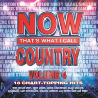 Now_That_s_What_I_Call_Country__Volume_4