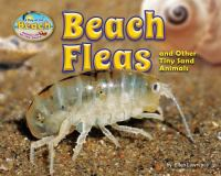 Beach_fleas_and_other_tiny_sand_animals