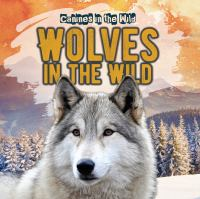 Wolves_in_the_wild