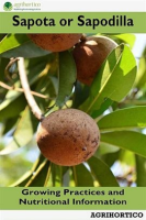 Sapota_or_Sapodilla__Growing_Practices_and_Nutritional_Information