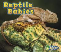 Reptile_babies