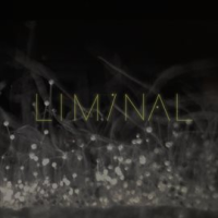 Liminal_2