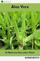 Aloe_Vera__A_Medicinal_Succulent_Plant
