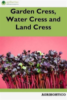Garden_Cress__Water_Cress_and_Land_Cress