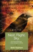 Nest__Flight__Sky