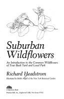 Suburban_wildflowers