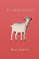 On_Imagination