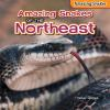 Amazing_snakes_of_the_Northeast