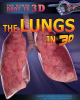 The_Lungs_in_3D