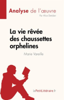 La_vie_r__v__e_des_chaussettes_orphelines_de_Marie_Vareille__Analyse_de_l___uvre_