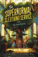 The_supernormal_sleuthing_service